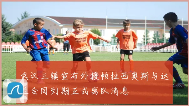 武汉三镇宣布外援帕拉西奥斯与达兰合同到期正式离队消息