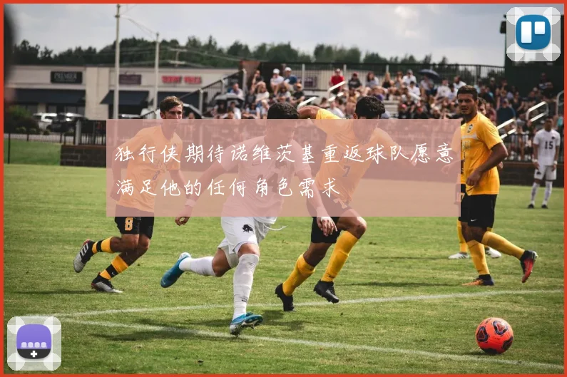 独行侠期待诺维茨基重返球队愿意满足他的任何角色需求