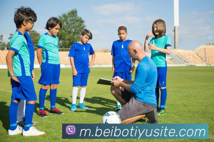 贝博体育APP 封面图